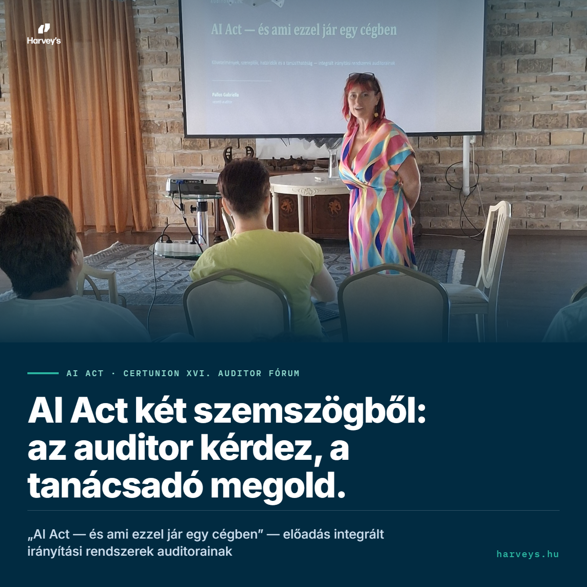 AI Act from Two Perspectives: The Auditor Asks, the Consultant Solves